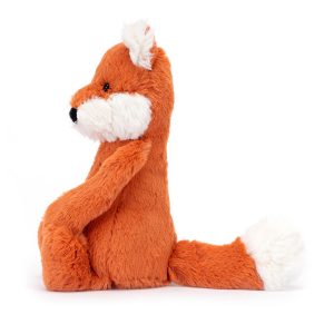 Bashful Fox Cub