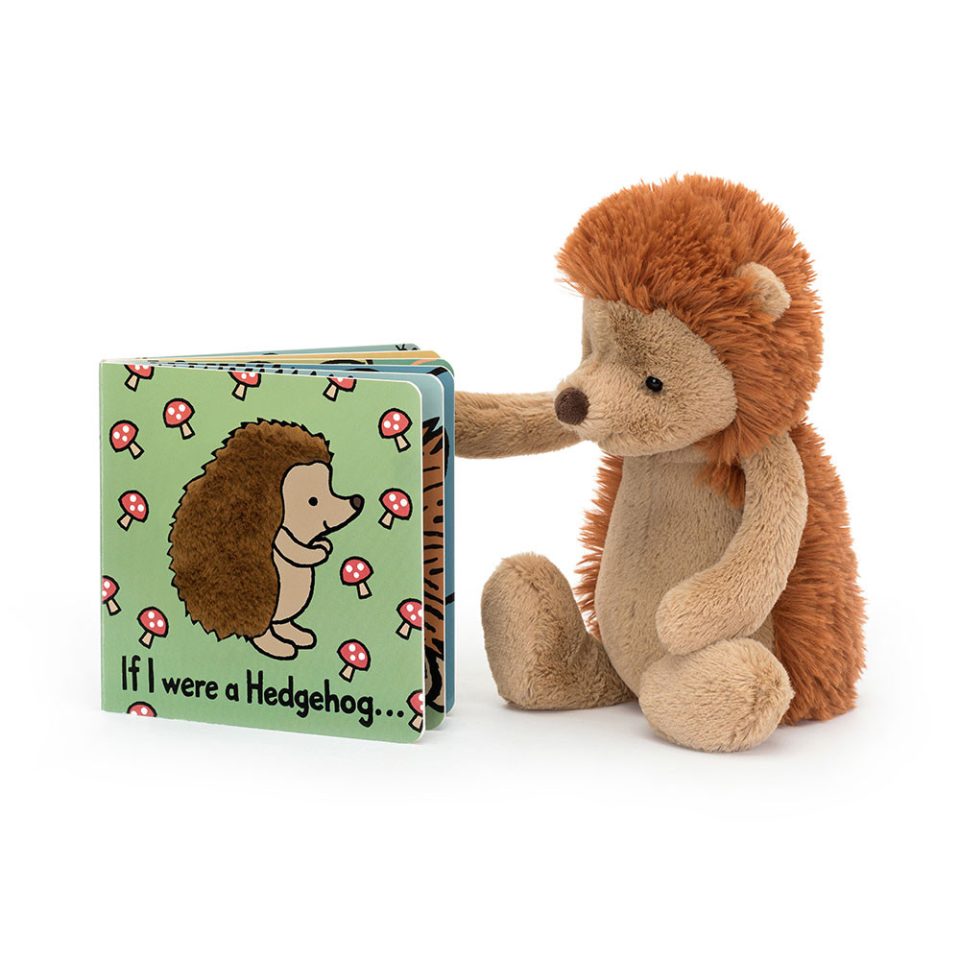 If I Were A Hedgehog Board Book and Bashful Hedgehog Medium